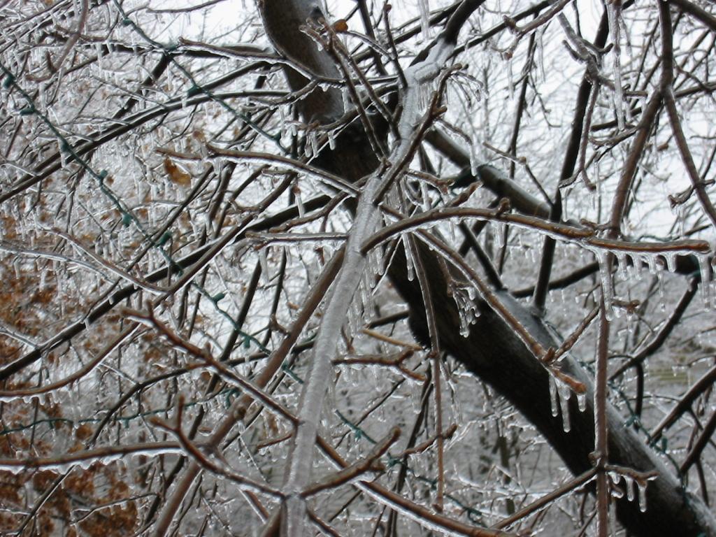 ice