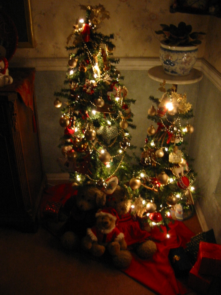 tertiary and quarternary trees